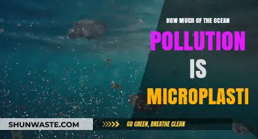 Microplastics: A Major Ocean Pollutant?