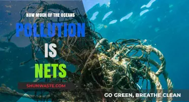 The Devastating Impact of Lost Fishing Nets on Our Oceans