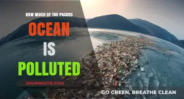 The Pacific Ocean: Polluted and in Peril