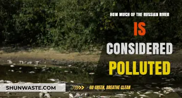 Russian River Pollution: What's the Extent?