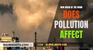 Pollution's Impact: Understanding the Devastating Effects on Our Planet