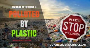 Plastic Pollution's Global Reach: A Worrying Extent