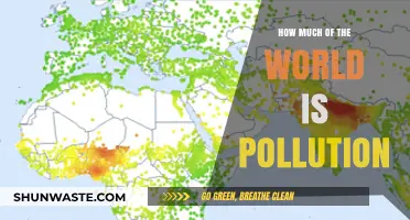 Pollution's Global Reach: Understanding Our Impact