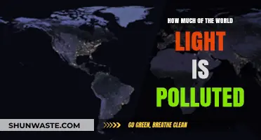 Light Pollution: A Global Problem