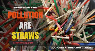 Straws: A Global Pollution Concern?