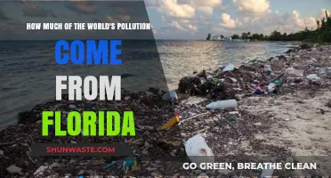 Florida's Pollution: Global Impact and Responsibility