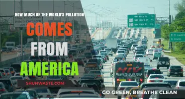 America's Pollution: Global Impact and Responsibility