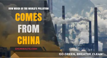 China's Pollution: Global Impact and Responsibility