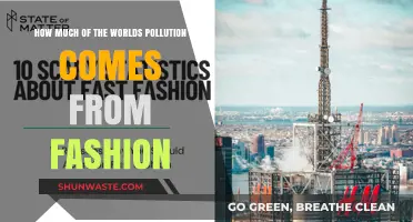 Fashion's Pollution Problem: A Global Crisis