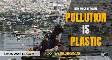 The Plastic Crisis: Understanding Water Pollution's Plastic Problem