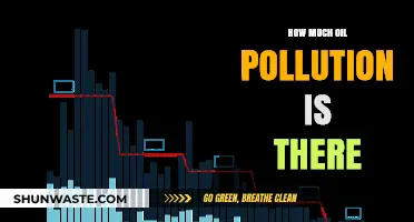The Impact of Oil Pollution: A Global Crisis
