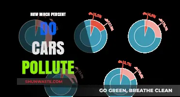 Cars' Pollution: Understanding Their Environmental Impact