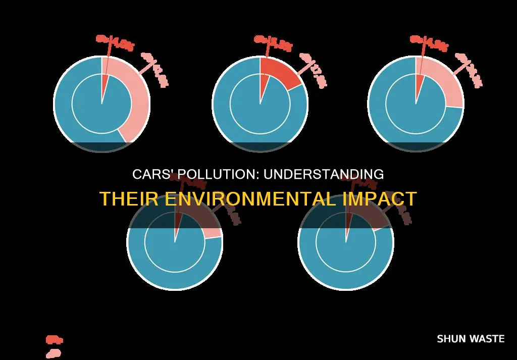 how much percent do cars pollute