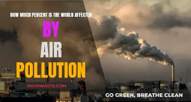 Air Pollution's Global Reach: Understanding the Devastating Impact