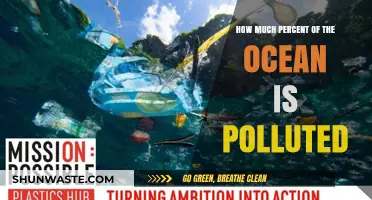 The Ocean's Pollution Crisis: Understanding the Devastating Impact