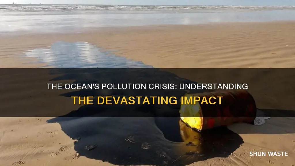 how much percent of the ocean is polluted