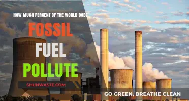 Fossil Fuels: Global Pollution's Dark Side