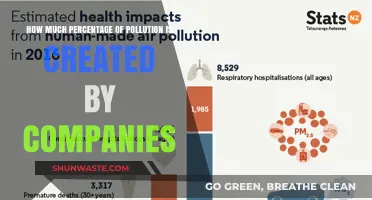 Corporate Pollution: What's the Damage?