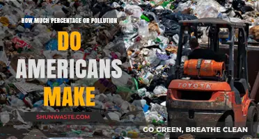 Americans' Pollution Footprint: What's the Damage?