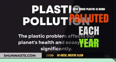 Plastic Pollution: Annual Global Crisis