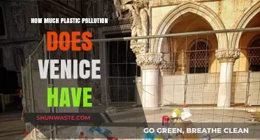 Venice's Plastic Pollution: An Environmental Crisis
