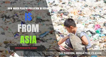 Asia's Plastic Pollution: Ocean Impact and Solutions