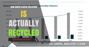 The Recycling Myth: Plastic Pollution's Reality Check