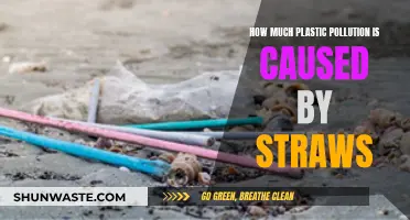 Straws: The Tiny Plastic Problem with a Big Impact