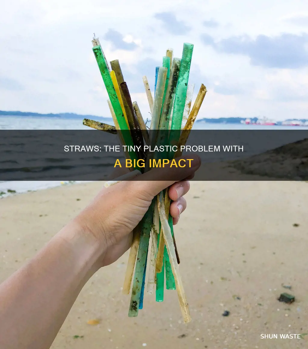 how much plastic pollution is caused by straws