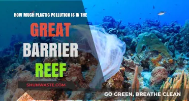 Plastic Pollution's Impact on the Great Barrier Reef