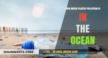 The Ocean's Plastic Pollution Crisis
