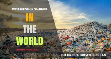 Plastic Pollution: A Global Crisis