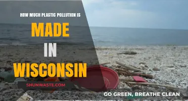 Wisconsin's Plastic Pollution Problem: A Troubling Overview