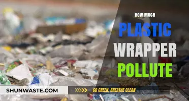 Plastic Wrappers: A Global Pollution Crisis