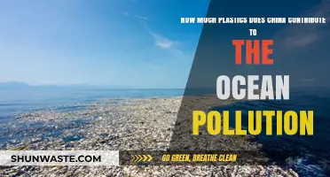 China's Plastic Pollution: A Marine Crisis