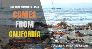 California's Plastic Pollution: A Troubling Impact