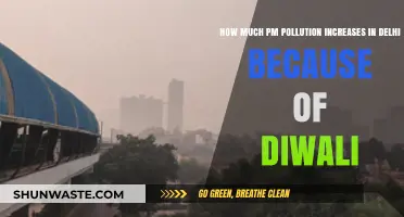 Delhi's Diwali Disaster: PM Pollution Spike