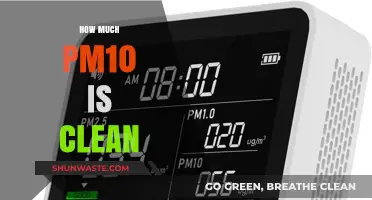 Understanding PM10: What's the Safe Level?