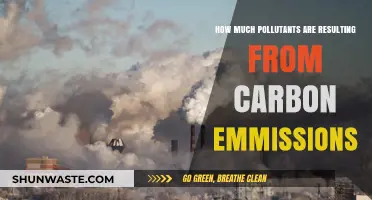 Carbon Emissions: Pollutants and Their Impact