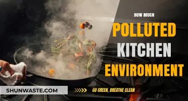 Kitchen Air: A Polluted Environment?