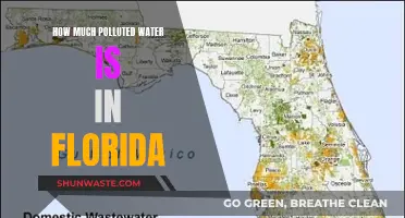 Florida's Water Crisis: Unveiling the Hidden Pollution