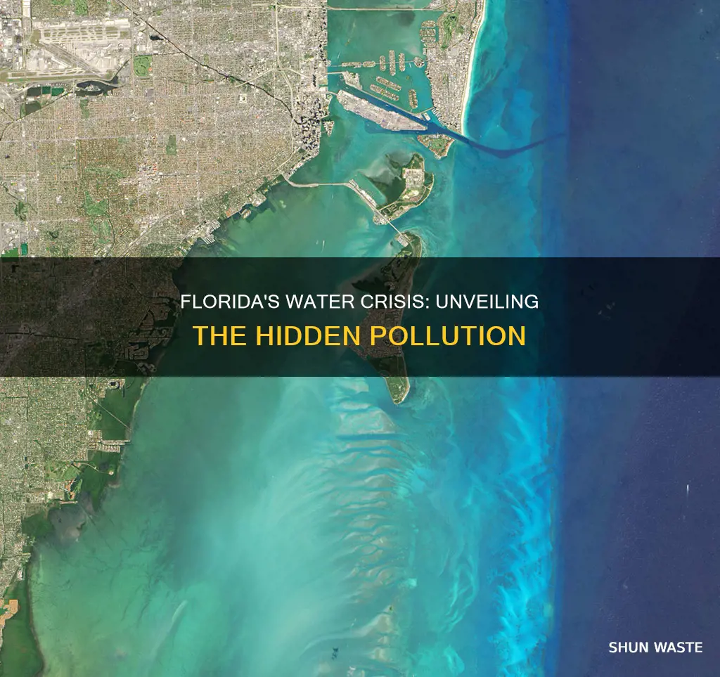 how much polluted water is in florida