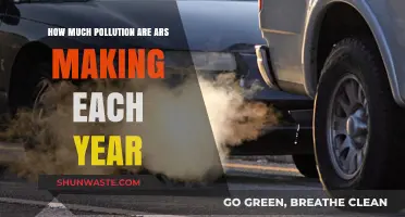 Road Pollution: How Much Damage Are Cars Doing?