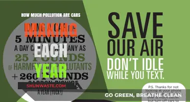 Cars' Pollution Problem: How Much is Too Much?