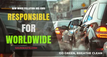 Cars' Global Pollution Problem: How Bad Is It?