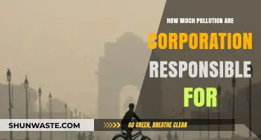 Corporate Pollution: Who's Responsible for the Damage?