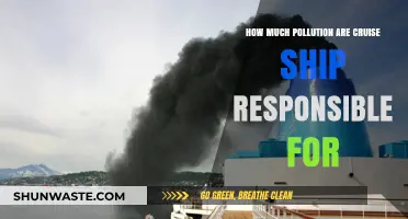 Cruise Ships: A Major Source of Pollution?
