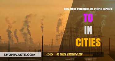 Urban Pollution: How Much Are We Breathing?