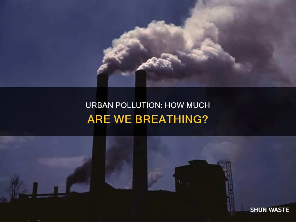 how much pollution are people exposed to in cities