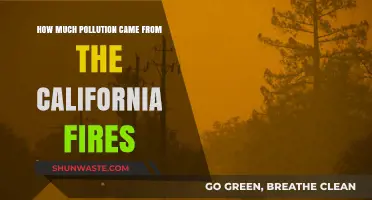 California's Fires: Understanding the Pollution Impact